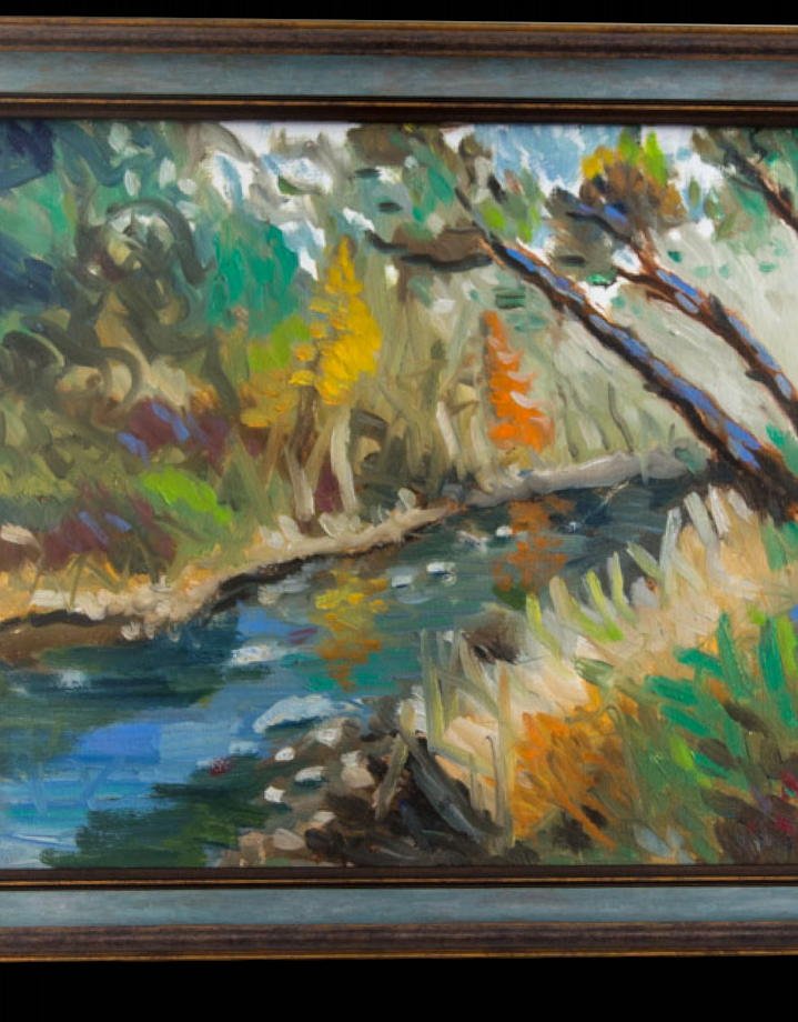 Accotink Park Spring detail