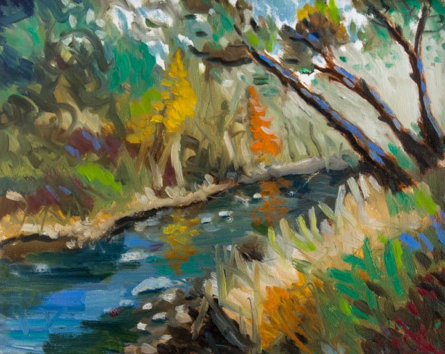 Accotink Park Spring